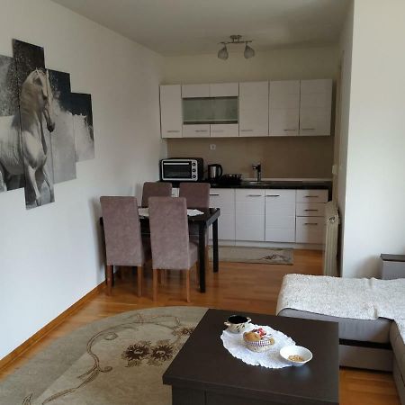 Apartman Lasofti Zlatibor Luaran gambar